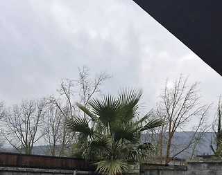 Sapanca Kırkpınar'da Yemyeşil Bahçeli, Özel Havuzlu, Modern Villa - 5