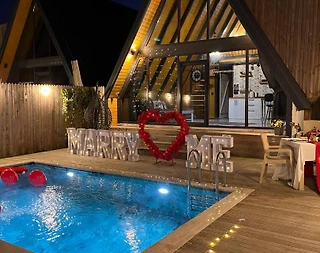 Sapanca Kurtköy'de Doğa İçerisinde, Isıtmalı Havuzlu, Modern Bungalov - 1