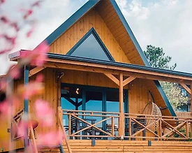 Sapanca Kuruçeşme'de Göl Manzaralı, Özel Havuzlu, 1+1 Bungalov - 3