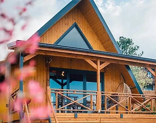 Sapanca Kuruçeşme'de Göl Manzaralı, Özel Havuzlu, 1+1 Bungalov - 3