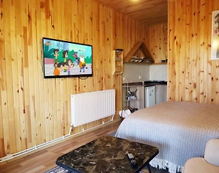 Sapanca Memnuniye'de Geniş Ailelere Uygun, Kiralık Ahşap Ev - 4