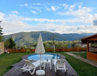 Sapanca Memnuniye'de Geniş Bahçeli, Şömineli ve Jakuzili, Şık Villa - 5