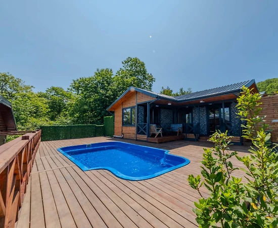 Sapanca Nailiye'de Muhteşem Doğada, Isıtmalı Havuzlu, 1+1 Villa - 1