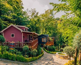 Sapanca Nailiye'de Yemyeşil Doğada, 1+1, Konforlu Tiny House - 2