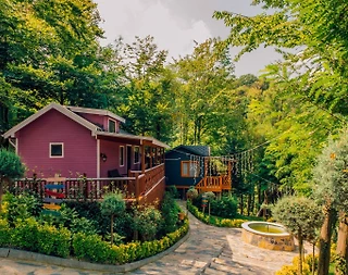 Sapanca Nailiye'de Yemyeşil Doğada, 1+1, Konforlu Tiny House - 2