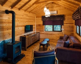 Sapanca Nailiye'de Yemyeşil Doğada, 1+1, Konforlu Tiny House - 4