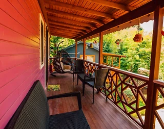 Sapanca Nailiye'de Yemyeşil Doğada, 1+1, Konforlu Tiny House - 3