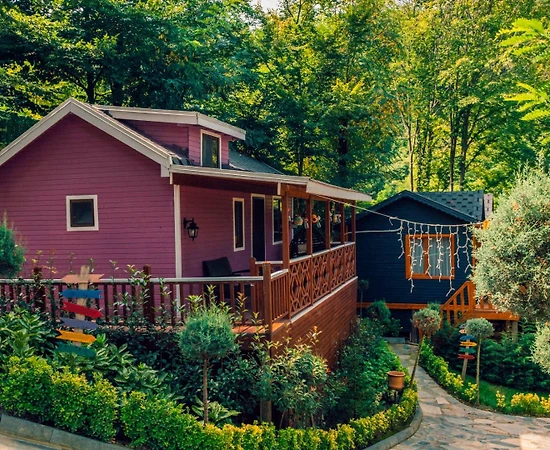 Sapanca Nailiye'de Yemyeşil Doğada, 1+1, Konforlu Tiny House - 1