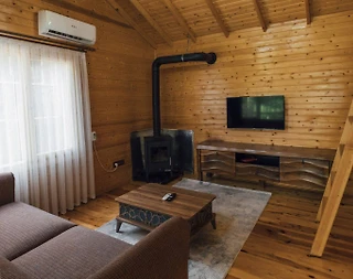 Sapanca Nailiye'de Yeşillikler İçerisinde, Ferah Tasarımlı, Tiny House - 4