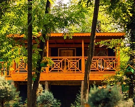 Sapanca Nailiye'de Yeşillikler İçerisinde, Ferah Tasarımlı, Tiny House - 3