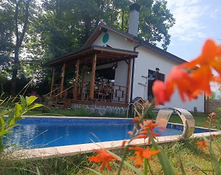 Sapanca Rüstempaşa'da Geniş Bahçeli, Özel Havuzlu, Modern Bungalov - 4