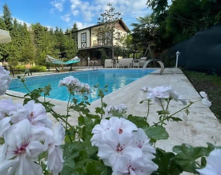 Sapanca Rüstempaşa'da Merkezi Konumda, Özel Havuzlu, Kiralık Villa - 4