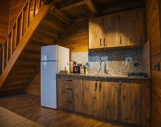 Sapanca Uzunkum'da Doğa Manzaralı, Isıtmalı Havuzlu, 2+1 Bungalov - 4