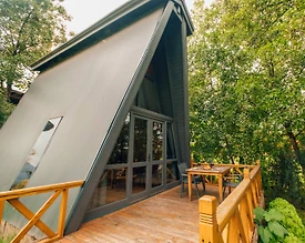 Sapanca Yanık'ta Yeşillikler İçerisinde, Kahvaltı Dahil, Kiralık Bungalov - 2