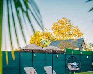 Sapanca Yanık'ta Doğa İçerisinde, Özel Havuzlu, Ferah Bungalov - 3