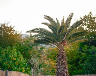 Sapanca Yanık'ta Doğa İçerisinde, Özel Havuzlu, Şık Bungalov - 5
