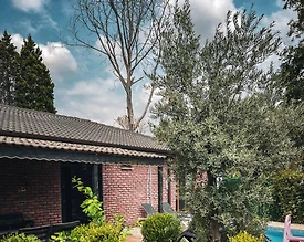 Sapanca Yanık'ta Jakuzili, Özel Havuzlu, Tuğla Villa - 3