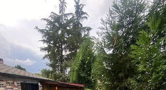 Sapanca Yanık'ta Minimalist Tasarımlı, Özel Havuzlu, 1+0 Villa