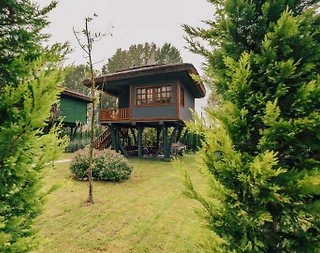 Sapanca Yanık'ta Tesis İçerisinde, Kahvaltı Dahil, 2 Kişilik Ağaç Ev - 2