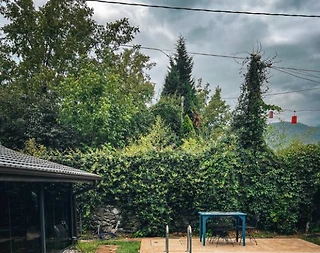 Sapanca Yanık'ta Yemyeşil Bahçeli, Özel Havuzlu, 2+1 Şık Villa - 1