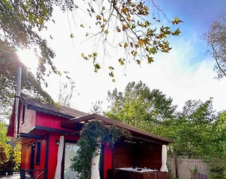 Sapanca'da Muhteşem Doğa İçerisinde, Geniş Bahçeli, Lüks Bungalov - 1