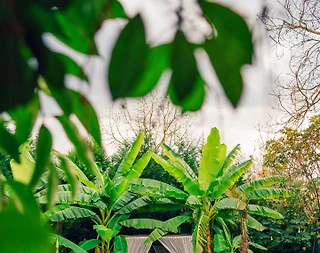 Sapanca'da Doğa İçerisinde, Isıtmalı Havuzlu, Şömineli, Kiralık Villa - 4