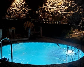 Sapanca'da Eşsiz Doğa Manzaralı, Özel Havuzlu, Kiralık Şık Bungalov - 2