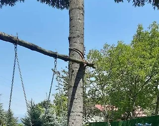 Sapanca'da Geniş Bahçeli, Isıtmalı Havuzlu, Kiralık Müstakil Villa - 4