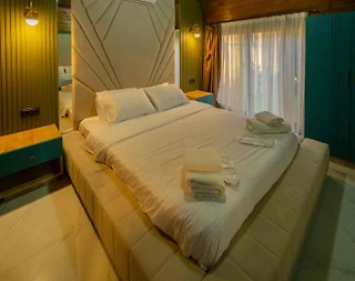 Sapanca Rüstempaşa'da Doğa İçerisinde, Özel Havuzlu, 2+1 Bungalov - 5