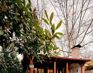 Sapanca Kırkpınar'da Geniş Bahçeli, Özel Havuzlu, Lüks Tiny House - 1