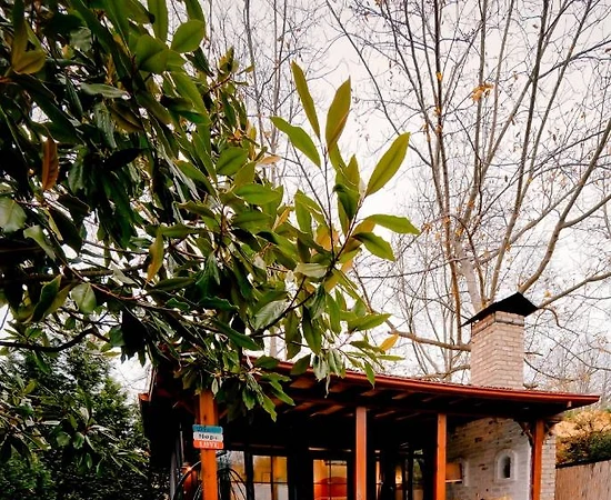Sapanca Kırkpınar'da Geniş Bahçeli, Özel Havuzlu, Lüks Tiny House - 1