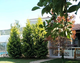 Sapanca'da Kalabalık Gruplara Uygun, Özel Havuzlu, Lüks Villa - 3