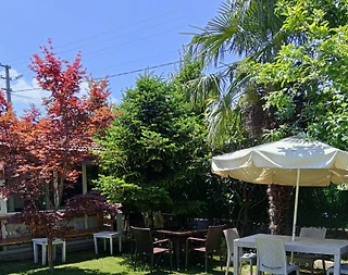 Sapanca'da Kalabalık Gruplara Uygun, Özel Havuzlu, Lüks Villa - 2