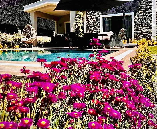 Sapanca Kırkpınar'da Huzurlu Doğada, Isıtmalı Havuzlu, Lüks Villa - 1