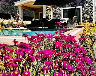 Sapanca Kırkpınar'da Huzurlu Doğada, Isıtmalı Havuzlu, Lüks Villa - 1