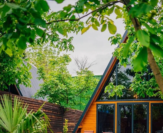 Sapanca Kurtköy'de Eşsiz Doğada, Özel Havuzlu, Kiralık Bungalov - 1