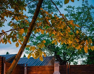 Sapanca Kurtköy'de Eşsiz Doğada, Özel Havuzlu, Şık Bungalov - 5