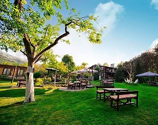 Sapanca Yanık'ta Doğa İçerisinde, Geniş Bahçeli, Şık Villa - 1