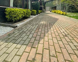 Sapanca Yanık'ta Doğanın İçerisinde, Özel Havuzlu, Modern Villa - 2