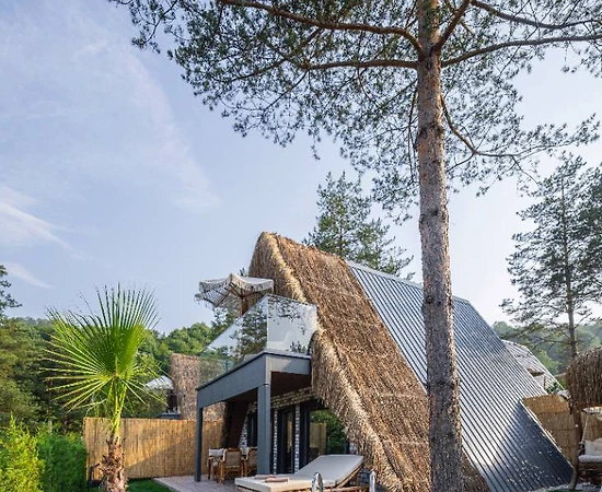 Sapanca Nailiye'de Muhteşem Manzaralı, Özel Havuzlu, Lüks Bungalov - 1