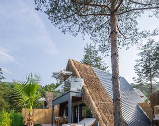 Sapanca Nailiye'de Muhteşem Manzaralı, Özel Havuzlu, Lüks Bungalov - 1