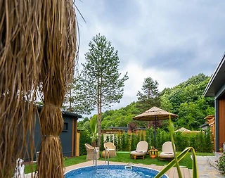 Sapanca Nailiye'de Tesis İçerisinde, Özel Havuzlu, Kiralık Villa - 5