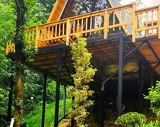 Sapanca'da Yeşillikler İçerisinde, Bahçeli, Jakuzili, Şirin Bungalov - 1