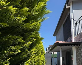 Serik Kadriye'de Sakin Konumda, Isıtmalı Havuzlu, Lüks Villa - 3