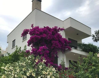 İzmir Karaburun'da Geniş Bahçeli, Çekirdek Ailelere Uygun, Kiralık Daire - 2