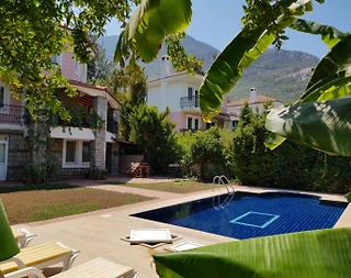 Fethiye Ölüdeniz'de Yemyeşil Doğada, Özel Havuzlu, Otantik Villa - 1