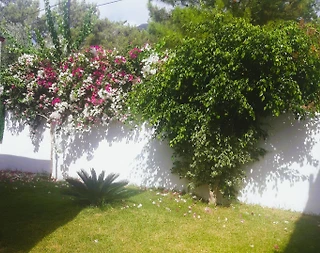 Antalya Kumluca'da Çekirdek Ailelere Uygun, Özel Havuzlu, Şık Villa - 4