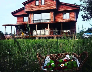 Yalova Armutlu'da Otantik Mimarili, Isıtmalı Havuzlu, Kiralık Villa - 2